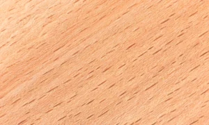 beech for wooden lamps