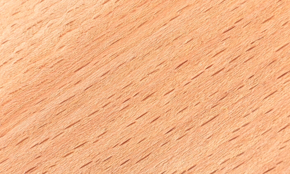 beech for wooden lamps